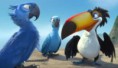 /album/filme-rio-e-a-dica-da-semana/rio-imagem-02-jpg/